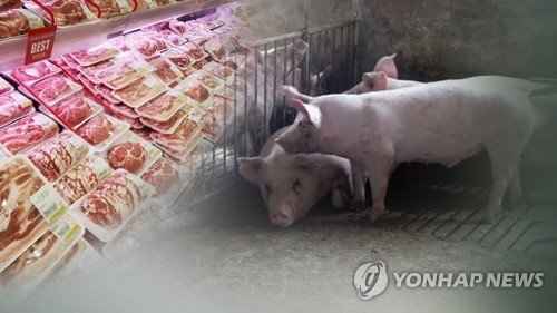 지난해 돼지 마리당 수익 90% 감소…아프리카돼지열병 영향