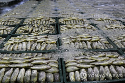 [입맛뒷맛] '가성비' 좋은 보리굴비?…부세도 굴비라 부를 수 있을까