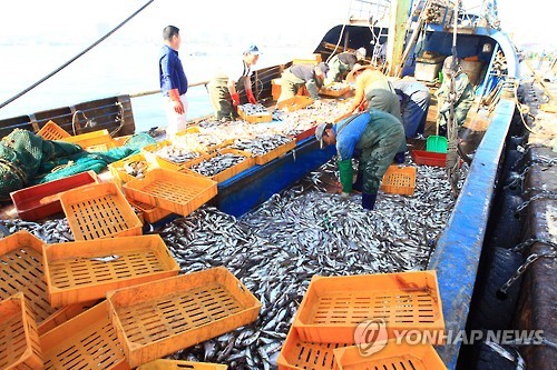 [통통 지역경제] 강원도 위기 농가·소비자간 다리 놓으니 '미소 2배'