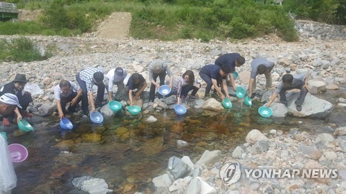 메기 사촌 '미유기' 대량 양식 통한 산업화 가능해졌다