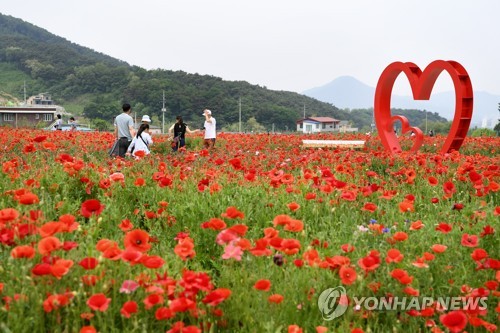 원주시 백운산 일원에 체험·휴양 농촌테마공원 만든다