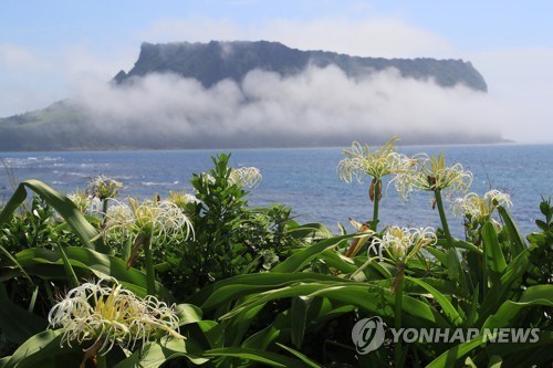 황금연휴도 '거리두기 유지'…'드라이브 스루' 제주여행 추천