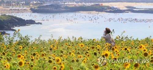 제주 관광객, 바다·치킨 검색…함덕·한담해변 주로 간다