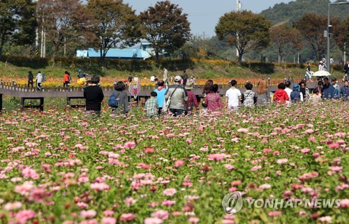 장성군 지난해 방문객 10% 늘어…가을축제 효과 '톡톡'