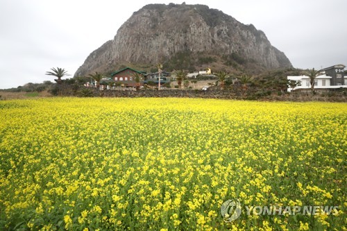 황금연휴도 '거리두기 유지'…'드라이브 스루' 제주여행 추천