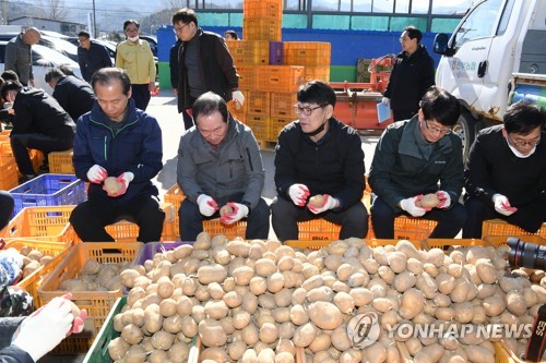 [통통 지역경제] 강원도 위기 농가·소비자간 다리 놓으니 '미소 2배'