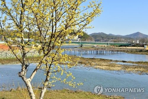 '황룡강의 옛 모습 찾습니다'…장성군 사진 공모전