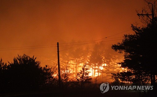 정총리 "인력·장비 최대한 동원해 조속히 고성 산불 진화" 지시