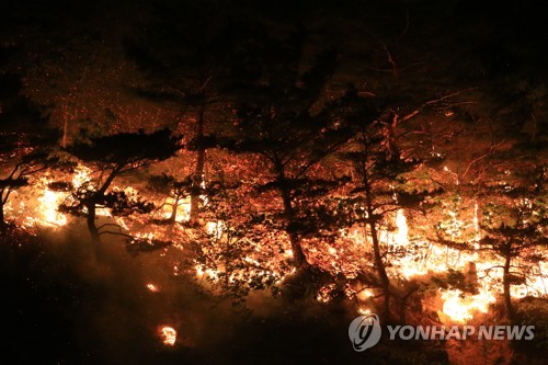 대형산불 주범 '양간지풍' 위력 어떻길래? "몸도 가누기 힘들어"