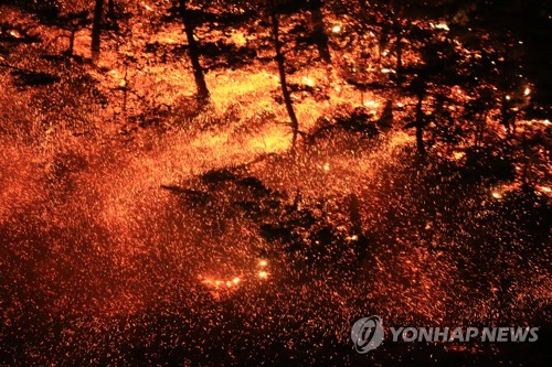 "강원 고성산불, 화목보일러가 원인일까"…경찰, 원인규명 주력