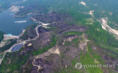 고성산불 12시간 만에 주불 진화…주택 등 6동·산림 85㏊ 소실