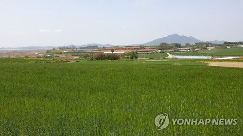 "천둥소리 같았어요"…군집형 지진에 불안한 해남주민들