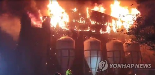 9시간 불탄 제주 양돈장 10억원 피해…돼지 2천여마리 폐사