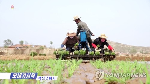 함께 먹고 자며 모내기하는 북한…코로나19 방역 안간힘