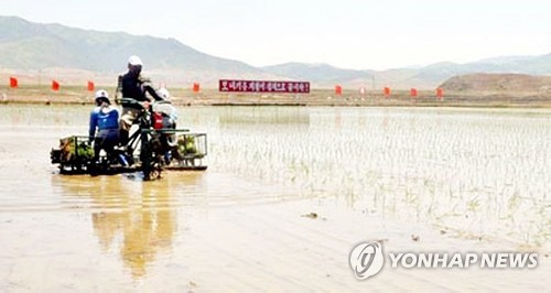 북한, 식량자급에 사활…최대 쌀생산지 황해도 "다수확에 명줄"