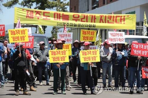 제주 마늘 농가 "마늘 수매가격·물량 보장하라"