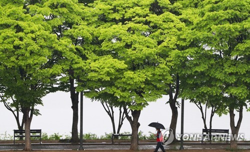 강원 흐리고 최대 200㎜ 장대비…우박 피해 주의