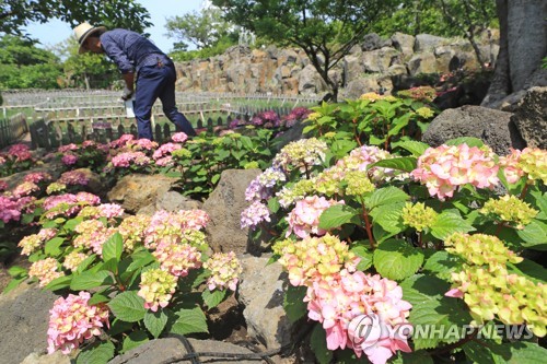 제주, 맑다가 구름 많아져…"일교차 커 건강관리 유의"