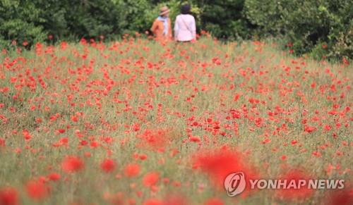 제주 관광 기지개 펴나…입도 관광객 3만명 근접