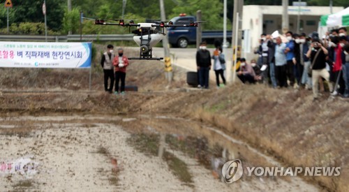 "드론이 볍씨도 뿌려줘요"…춘천시 재배단지에 첫 도입