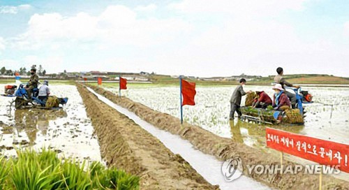 세계식량계획 "북한 영양지원 활동중단"…코로나19 영향인듯