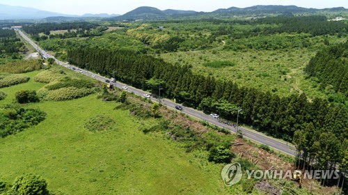 논란 산 제주 비자림로 확장공사 1년만에 재개…삼나무 벌채(종합)