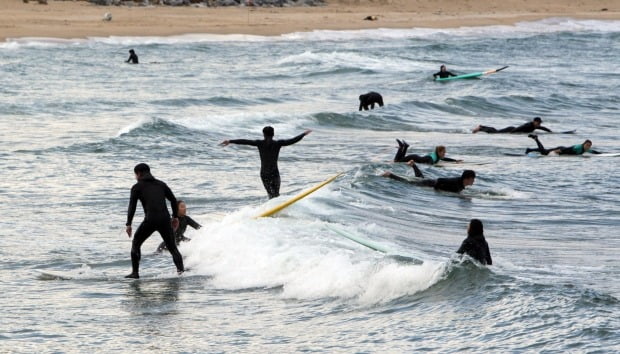 강원 양양 죽도해변을 찾은 서퍼들이 파도타기를 즐기고 있다. 사진=연합뉴스