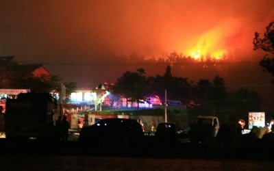 주택 화재가 고성 산불로 번져…소방차 225대 출동 진화작업