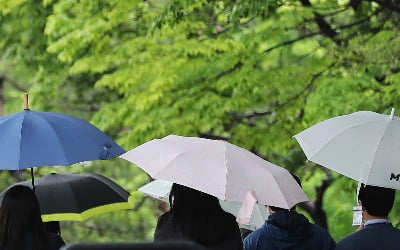 [날씨] 내일도 비 와요…낮 최고 19~27도