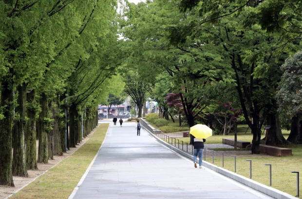 19일 오후 부슬비가 내리는 전남대학교 교정에서 전날 5·18 40주년을 맞아 준공한 '민주길'을 시민들이 우산쓰고 걷고 있다. 민주길은 80여억원을 투입해 학내 민주화운동 기념 공간 11곳을 3개 노선, 5㎞로 잇는 공간 재생사업이다. 사진=연합뉴스