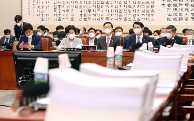 'n번방·인가제폐지·넷플릭스법' 법사위 통과…본회의 상정