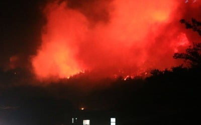 [속보] 강원 고성 산불 대응 3단계 발령…전국 차원에서 대응