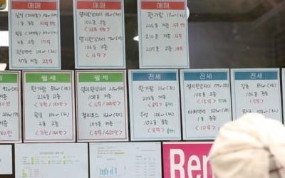 "용산 토지거래허가 대상 호가 떨어질 것…소형에는 풍선효과"