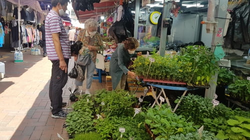 재난지원금 풀리자 전통시장 '북적'…소비심리 회복 조짐