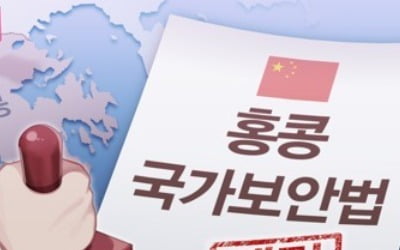 '뜨거운 감자' 홍콩보안법 어떻게 만들어졌나