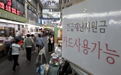 6월 4일부터 긴급재난지원금 사용지역 변경…"횟수 제한 無"