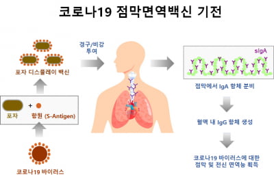 제노포커스, KAIST·와이바이오로직스 등 8개 기관과 코로나19 점막면역백신 공동 개발