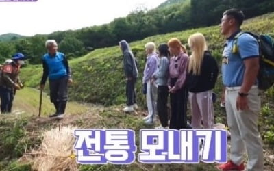 '6시 내고향' 트와이스 출연…두물머리에서 핫도그 먹방