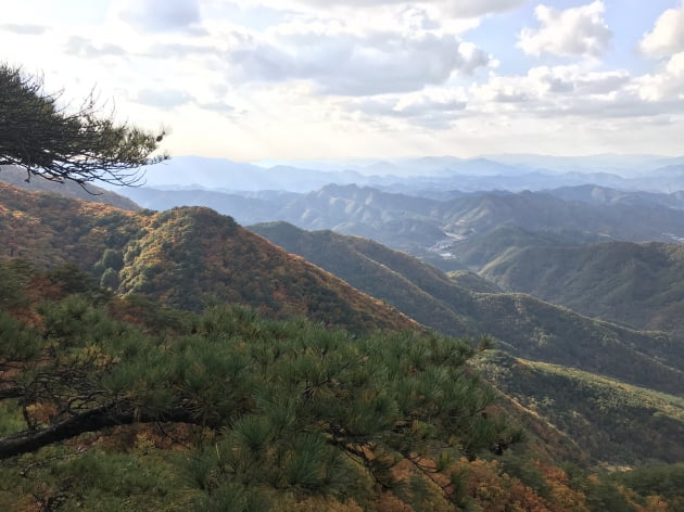 산림청 "코로나 피로감, 숲에서 힐링하세요"