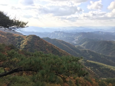 산림청, “코로나19 피로감, 숲에서 회복하자”