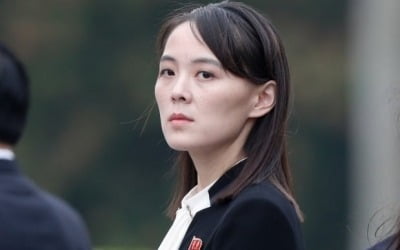 [속보] 김여정, 문대통령 6·15 발언에 "혐오감 금할 수 없어"