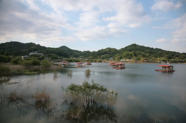 충남예산 느린호수길 평촌삼거리로 가는 느린호수길에서의 풍경