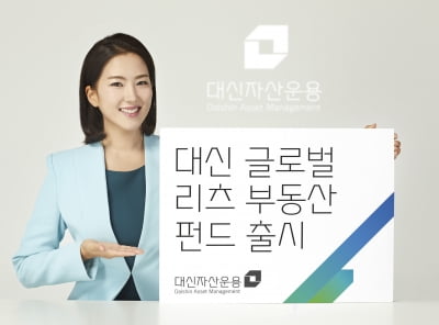 대신자산운용, 해외 리츠에 투자하는 펀드 내놨다