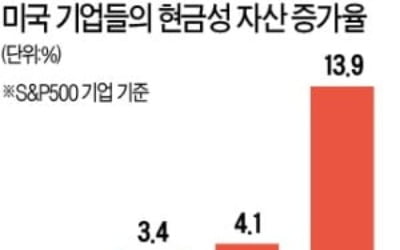 "현금 방파제 쌓아라"…美기업들 빚내 확보