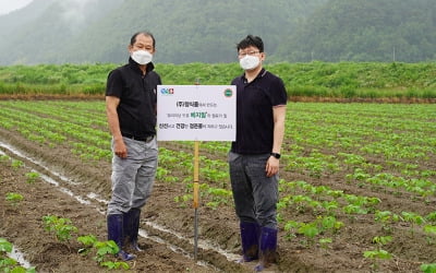 정식품, 국산콩 계약재배 600t…전년보다 3배 늘었다