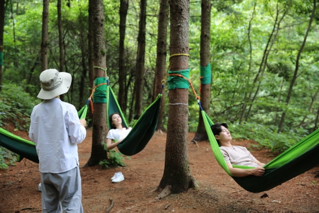 산림청, 코로나19 대응 인력을 위한 숲치유 프로그램 시범운영 