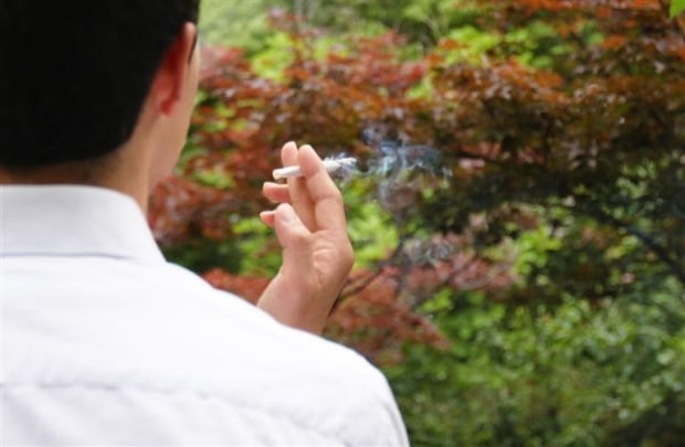 내달부터 신분증 위조 청소년에게 담배 판 경우 '영업정지 면제'