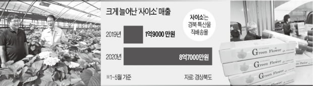 코로나가 바꾼 농산물 유통…지자체 '온라인 직판' 뜬다