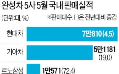 5월 해외판매 '반토막'…내수로 버틴 완성차