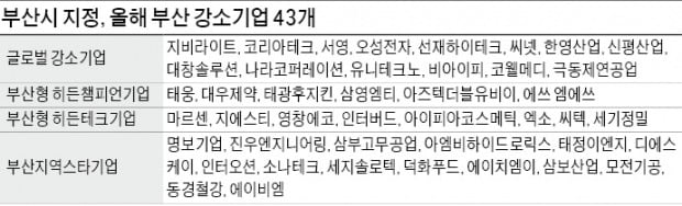 부산, 우수中企 43곳 글로벌기업으로 키운다